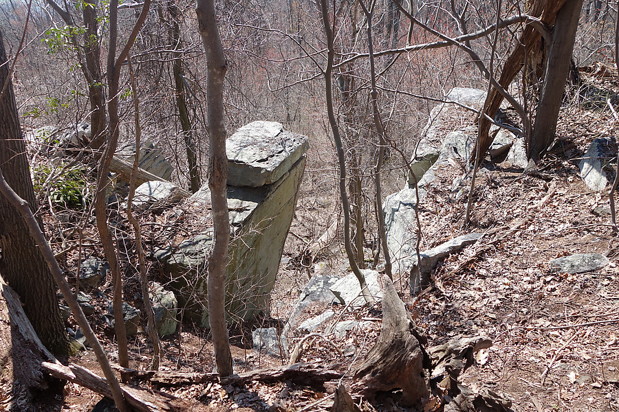 access gully - probably not the best from an erosion standpoint, but better from a thorns-and-vine standpoint