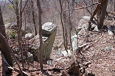 access gully - probably not the best from an erosion standpoint, but better from a thorns-and-vine standpoint