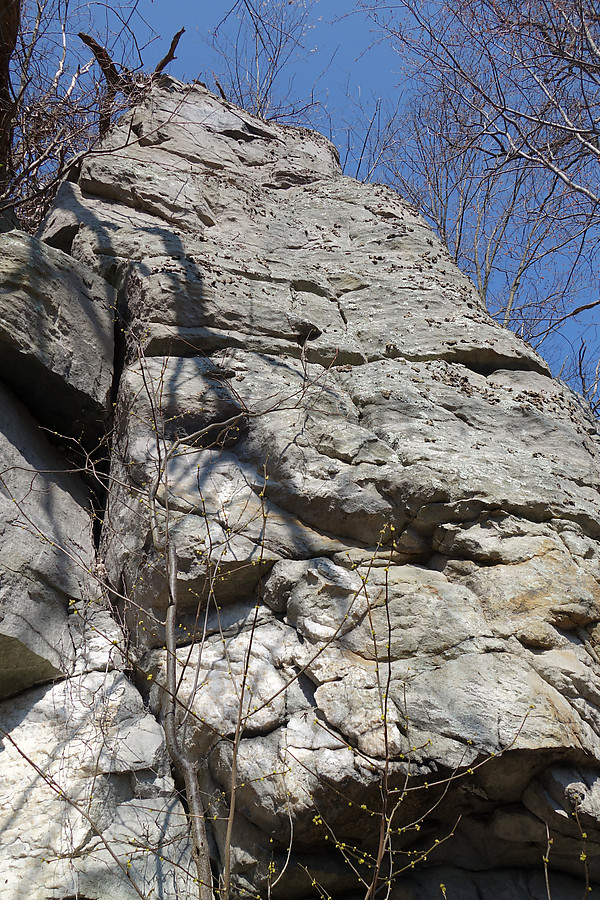 neat face that I think has been climbed, but some wasp activity in the lower center part of the frame gave me pause