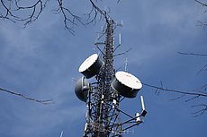 I count ~27 antennas