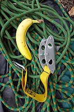banana for scale