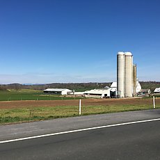pastoral views