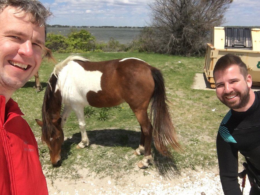 had to sneak in a horselfie once it got 10' away