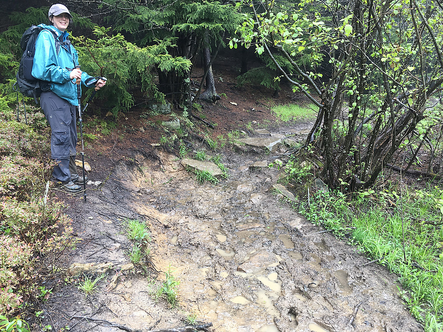a rougher section of the Blackbird Knob trail