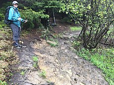 a rougher section of the Blackbird Knob trail