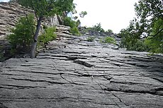 Emily after leading Northern Pillar