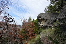 small rock outcropping along the river