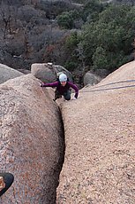 Penny following Jack Knife (5.5)