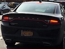 CHeetara / ThunderCats license plate