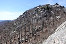 Old Rag lower ridge trail slabs