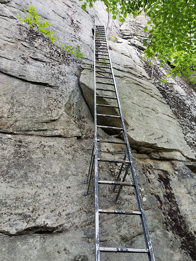 Honeymooner's Ladders