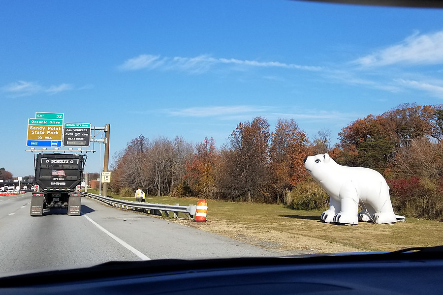 effective polar bear plunge advert