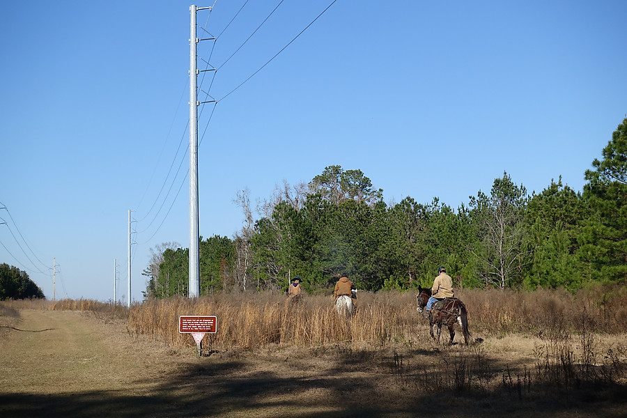 horse and donkey people