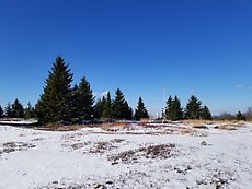 weather station on Bald Knob