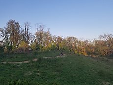 new trail up by the 195 park and ride