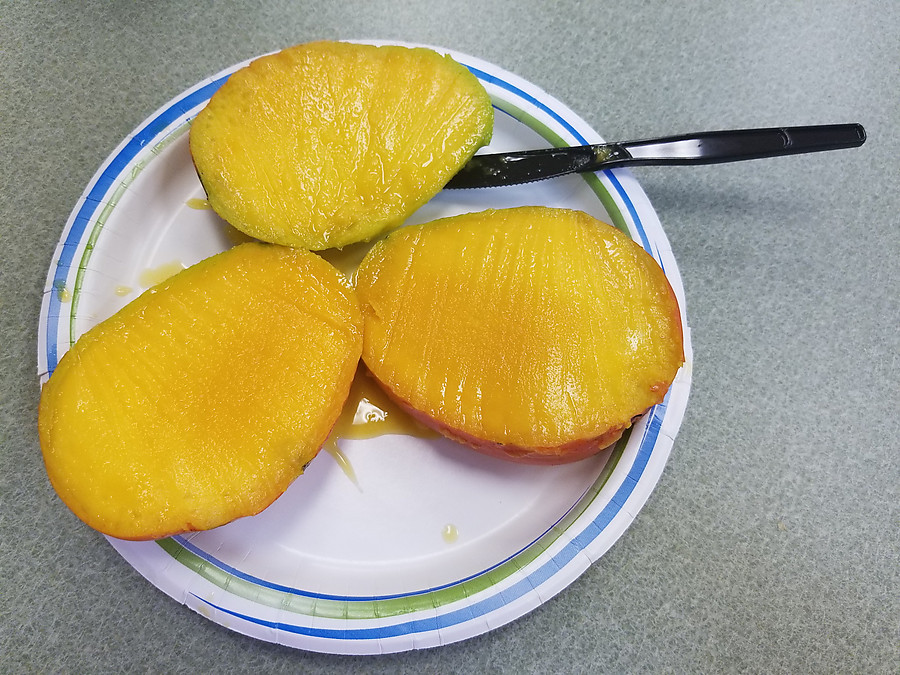 delicious home mango from a friend