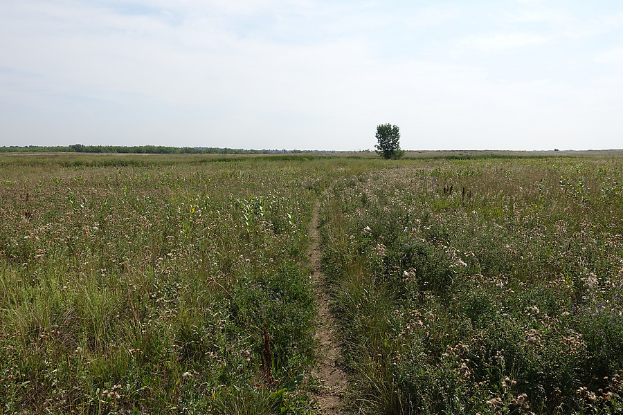 Cherry Creek State Park