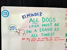 REMINDER: ALL DOGS & PIGS MUST BE ON A LEASH AT ALL TIMES!