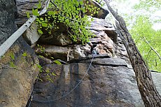 Jesse Huey putting up Chasing Spiders