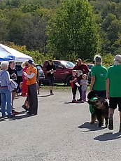 the dog is wearing a t-shirt to match the people