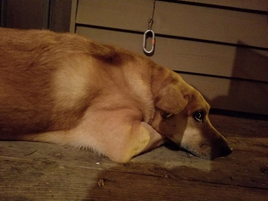 Railay contemplates the porch