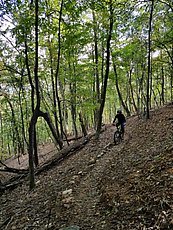 trail improvement (needs some work to shed water better but still awesome someone is putting in the time)