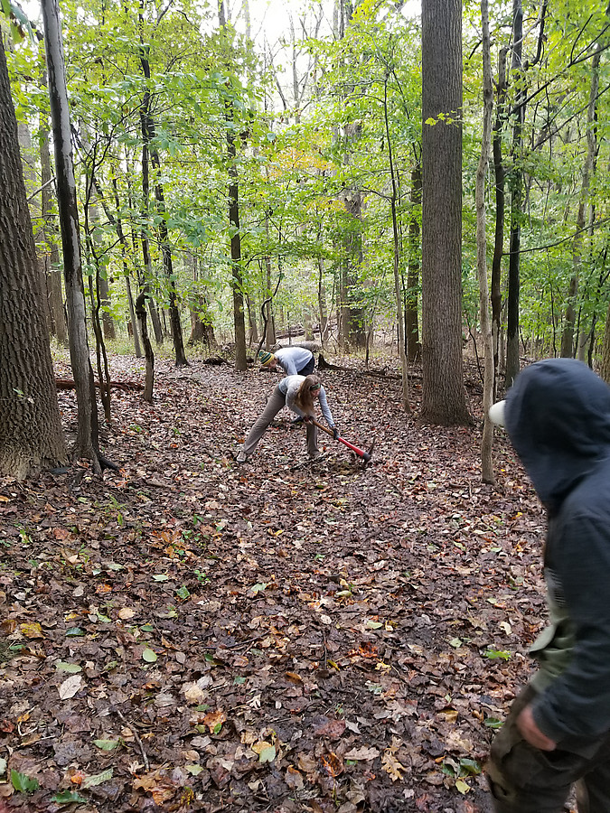 breaking up compacted soil to rehab a closed trail back in to forest floor