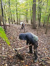 breaking up compacted soil to rehab a closed trail back in to forest floor