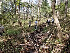 closed trail