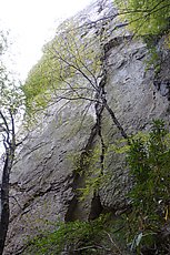 the clssic route for the area (Psychotic Reaction, 5.9)