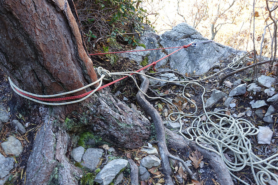 still safe, but could be improved by putting the cordalette knot behind the tree, using a long enough cordalette to get the biners over the edge, or just using some of that static to get over the edge