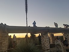 Mt. Bonnell