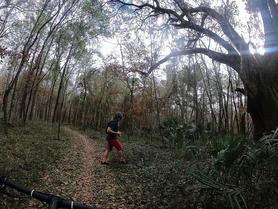 DCIM\100GOPRO\GOPR0661.JPG