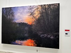 Daniel Hart Patapsco State Park photo on display