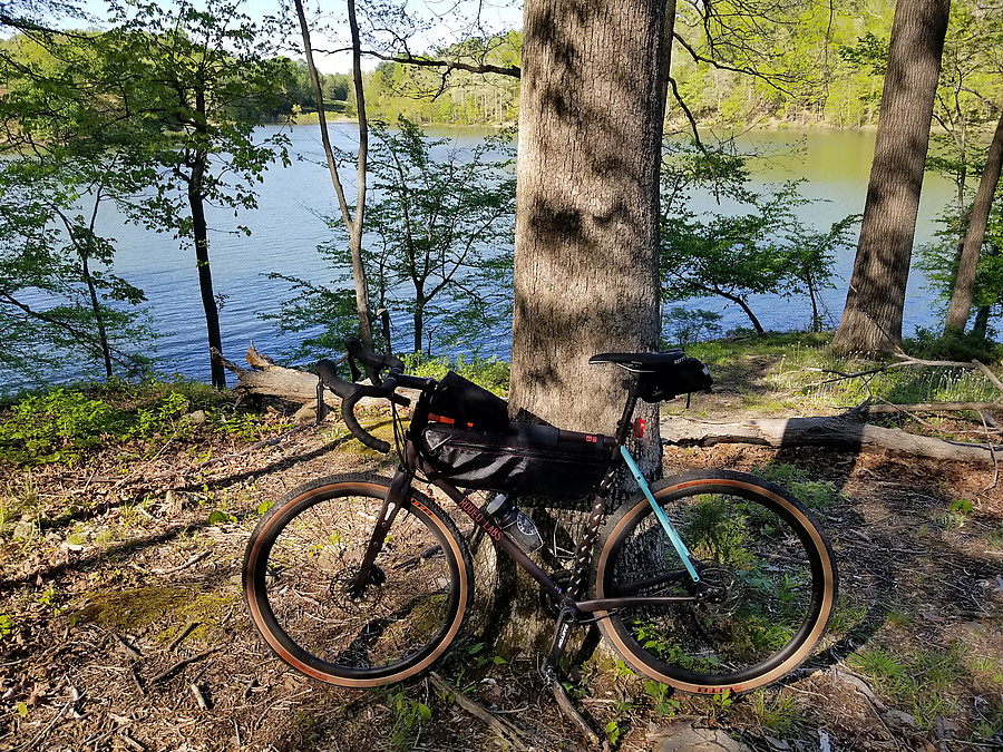 off Westside trail, Lake Needwood, Rock Creek Park
