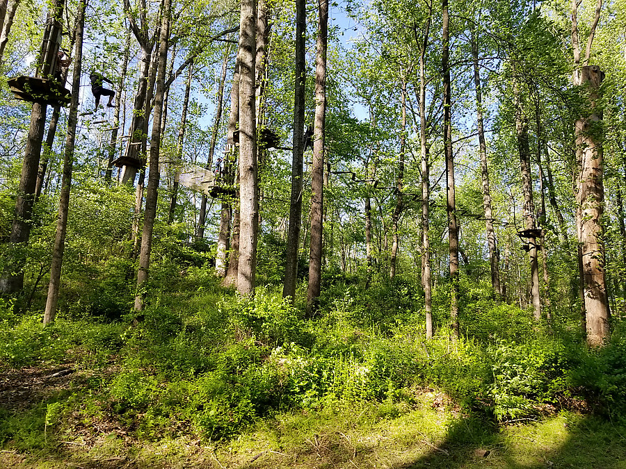 ropes course