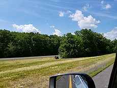 this minivan took a daring cut across the road straight through a deep ditch and made it