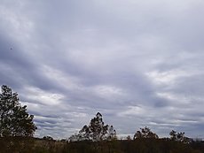 cool cloud disturbance from a plane out of Dulles