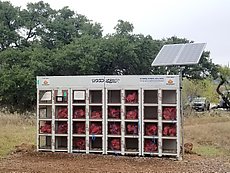 firewood vending machine