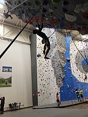 this guy campused up a few holds holds higher on this route with absolutely smoothness
