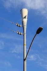cool light pole / transformer combination
