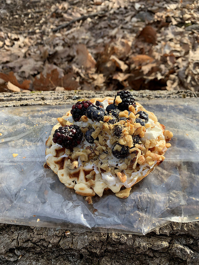 yogurt+nut+berry waffles