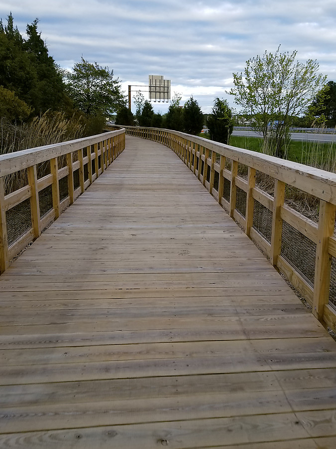 new section of Cross Island Trail is very nice