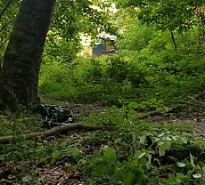 empty coal train going by