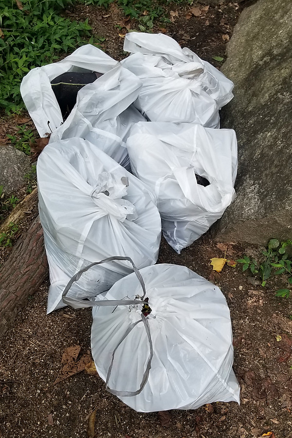the small trash went in to bags