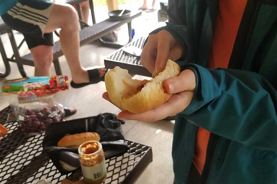 peanut butter and hotdog bun sandwich