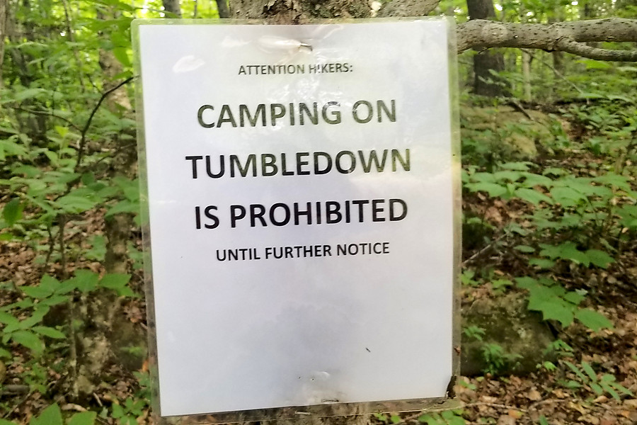 narrator: there were 30+ campers