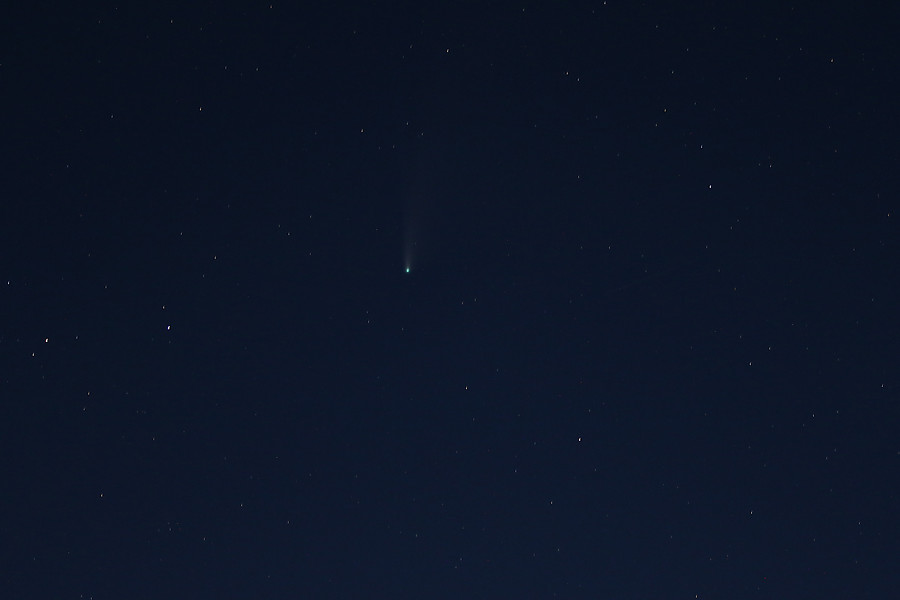 Comet C/2020 F3 (NEOWISE)