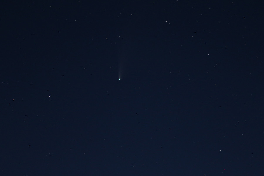 Comet C/2020 F3 (NEOWISE)