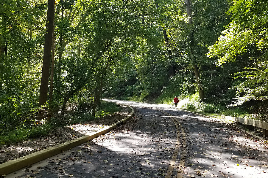 Rock Creek Park with the road closed is pretty nice